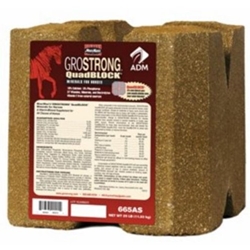 Block Equine Go Strong Quad 25#