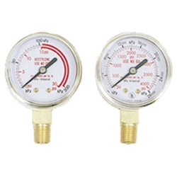 Gauge Pressure 2" 400#